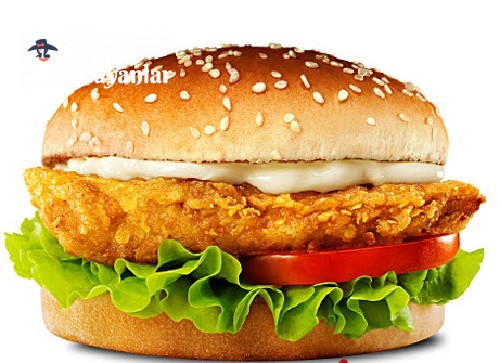 tavuk burger + patates 